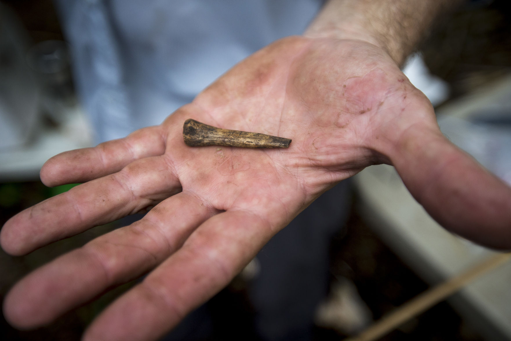 detail pre historic tool.JPG
